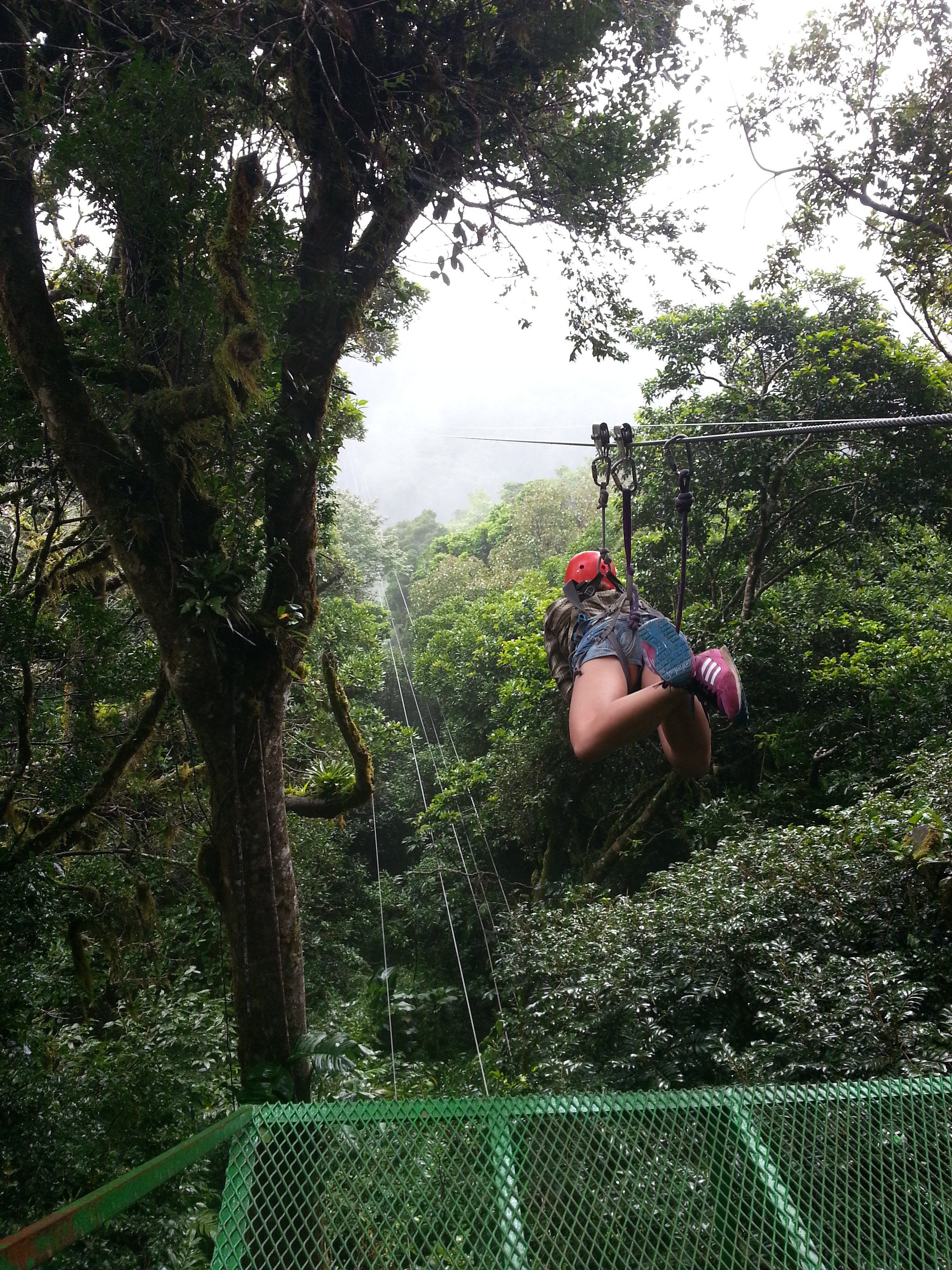 zip line portrait