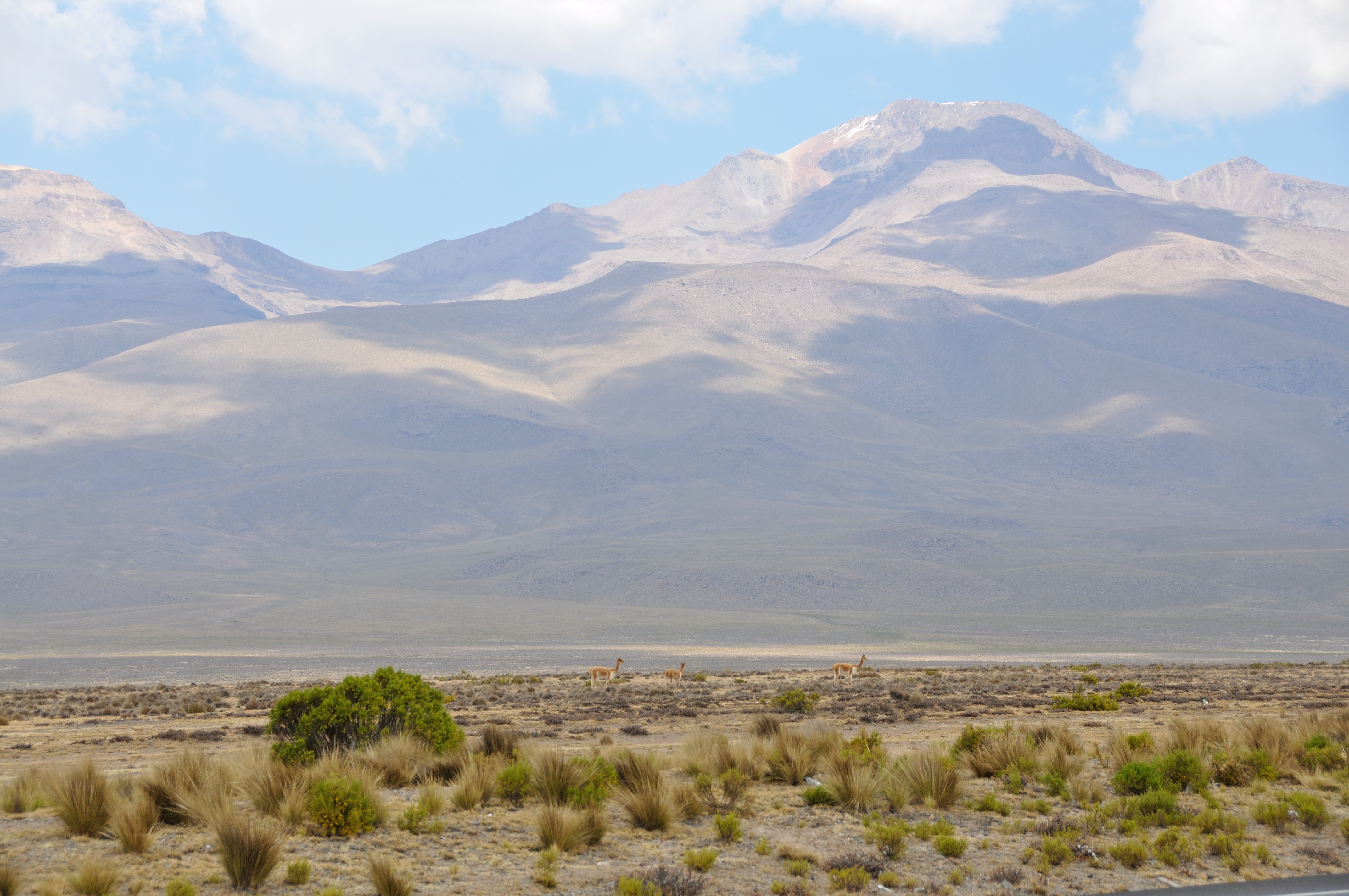 Peru-countryside