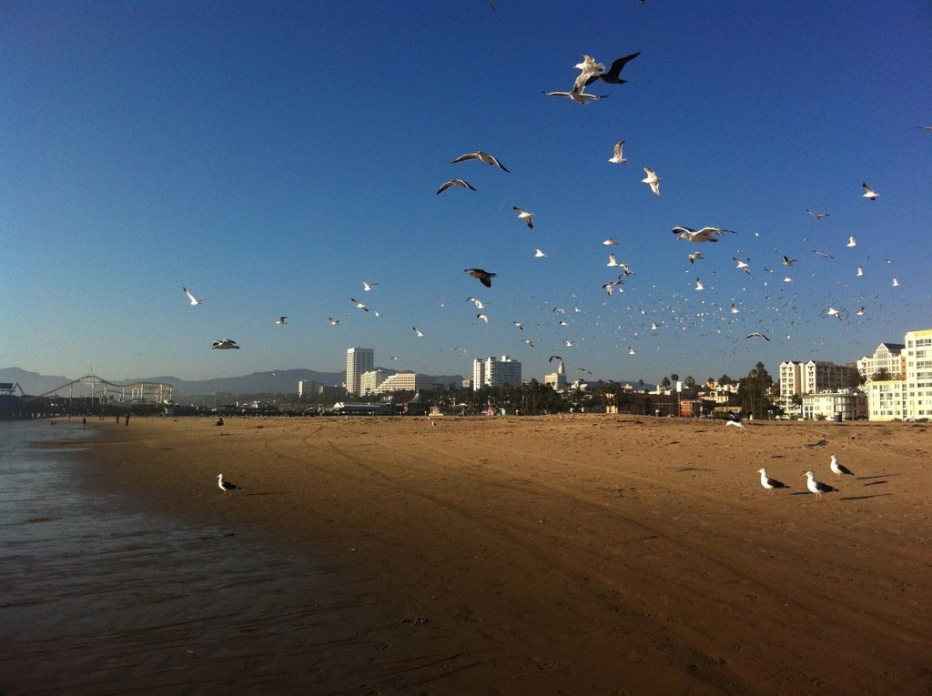 santa-monica-249315_1280