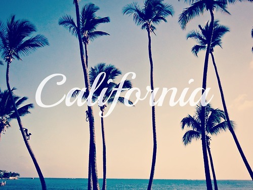 California_Palm_Trees