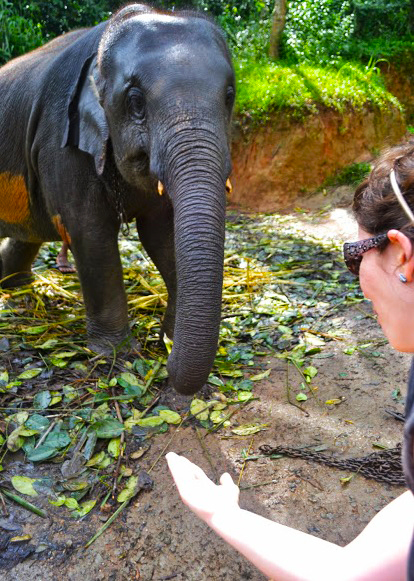 Elephant Freedom Project in Sri Lanka – a real elephant sanctuary in Sri Lanka