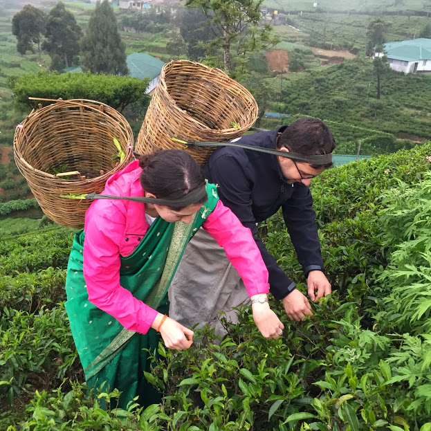 Immersion in Sri Lanka