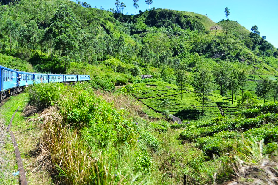 In the Hills of Sri Lanka’s Tea Country Train