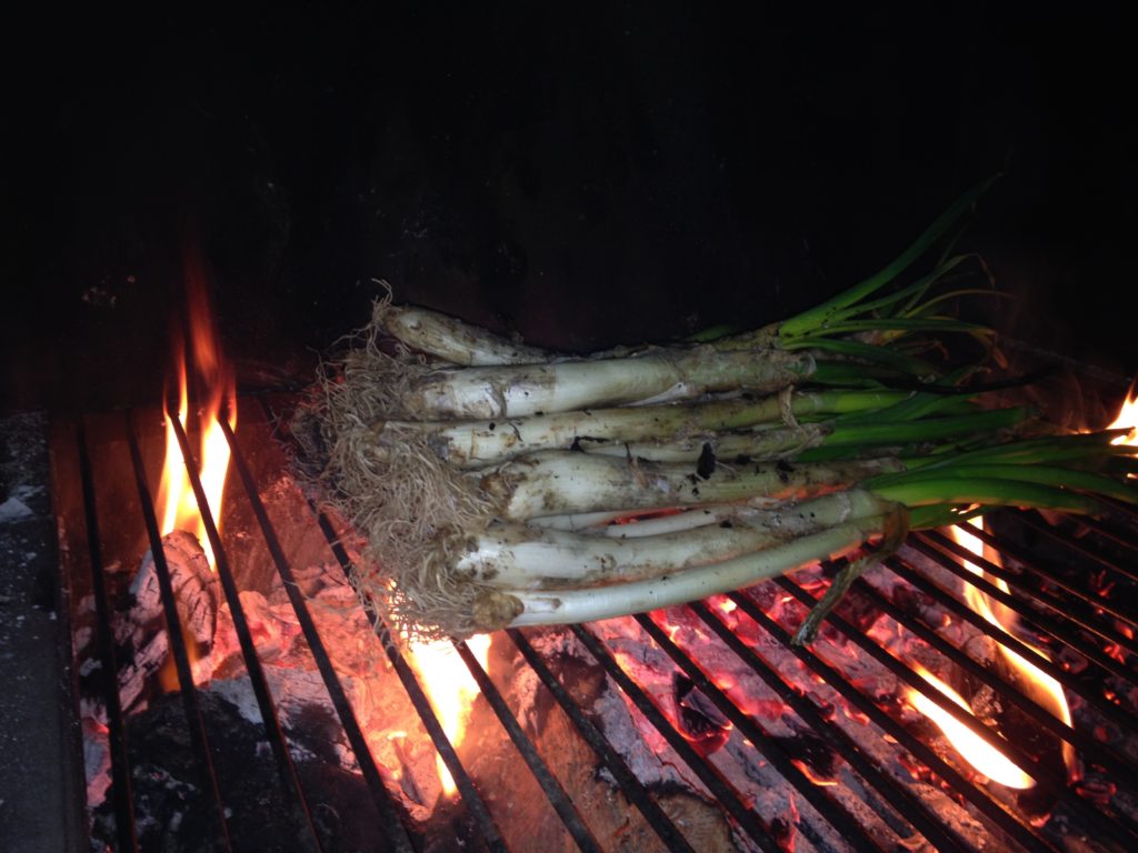 calçots