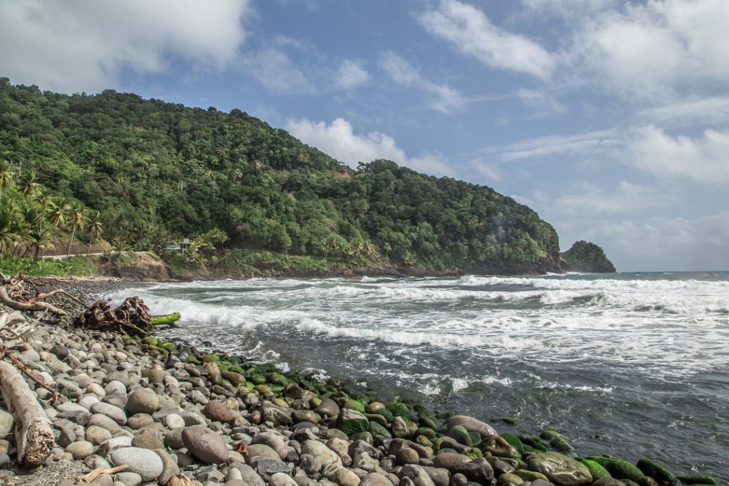 A Cinematic Look at Dominica’s Culture