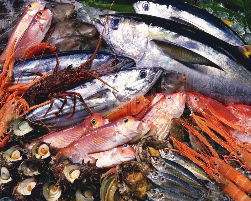 2704363-seabass-mackerel-hake-fish-nephrops-crabs-and-clams-seafood