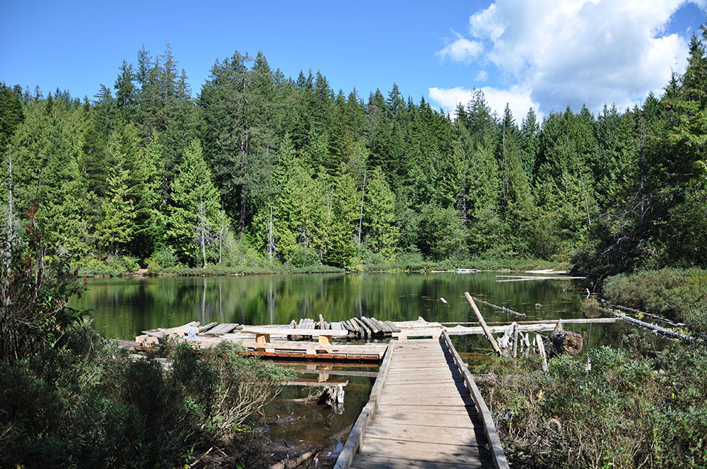 Whyte lake in West Vancouver (Photo from DailyHive.com)