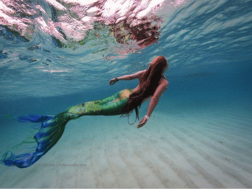 mermaid