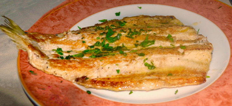 Fish