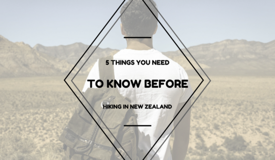 What You Need to Know Before Hiking in New Zealand