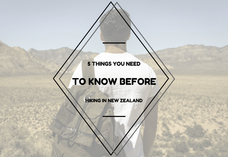 What You Need to Know Before Hiking in New Zealand