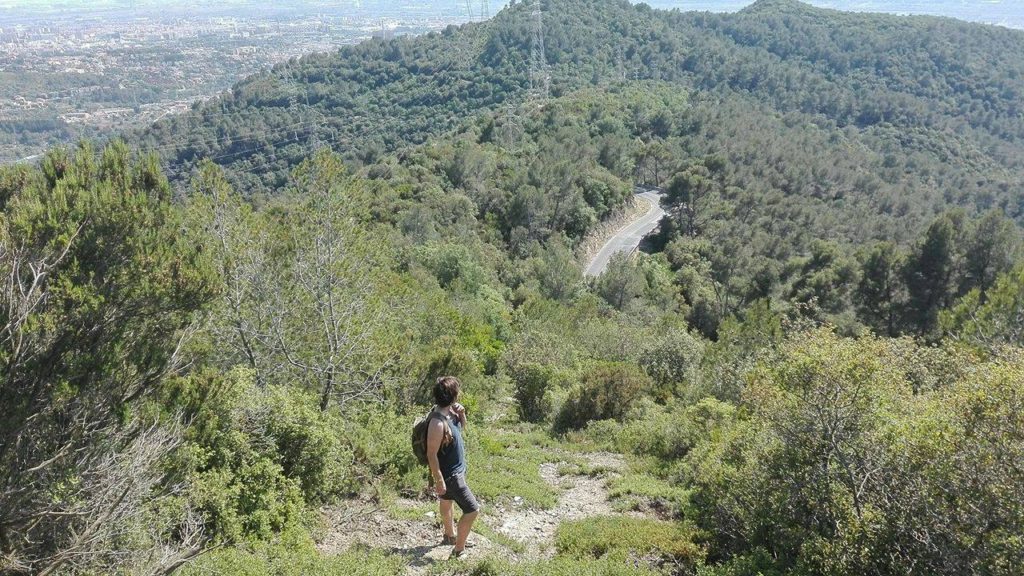 Collserola
