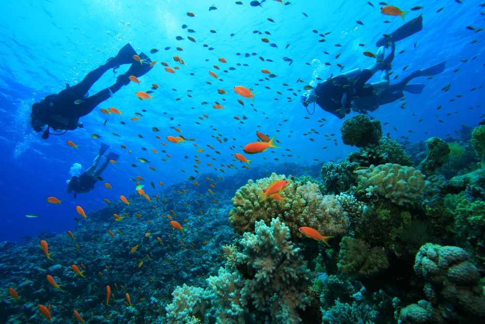 Plan-a-scuba-diving-trip