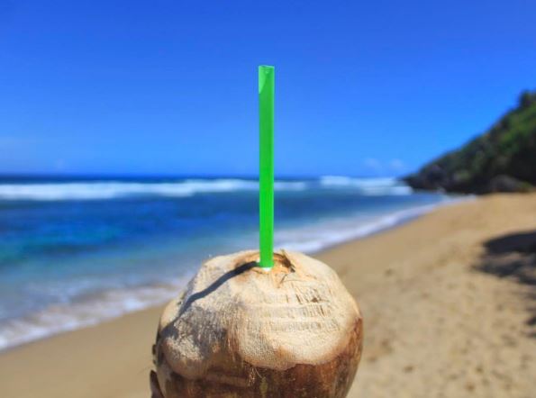 coconut