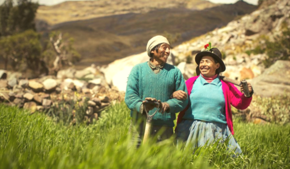Eco-Friendly Volunteering Organizations in Peru
