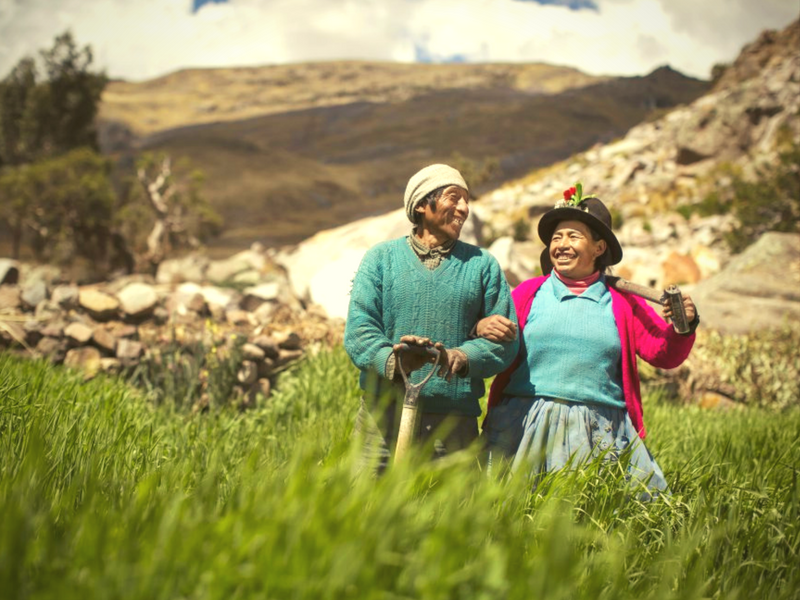 Eco-Friendly Volunteering Organizations in Peru