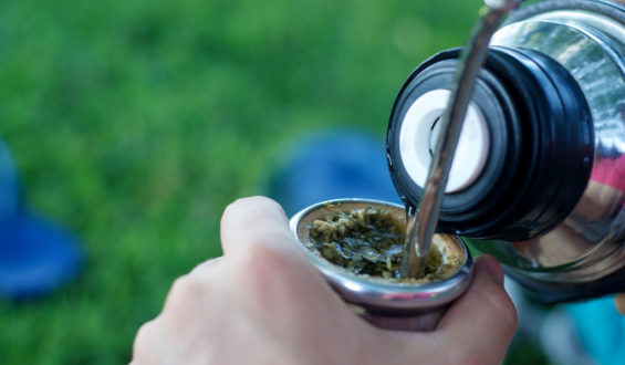 Sampling Yerba Mate and a Brief History