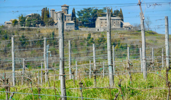 Savoring the Earthy Flavors of Umbria