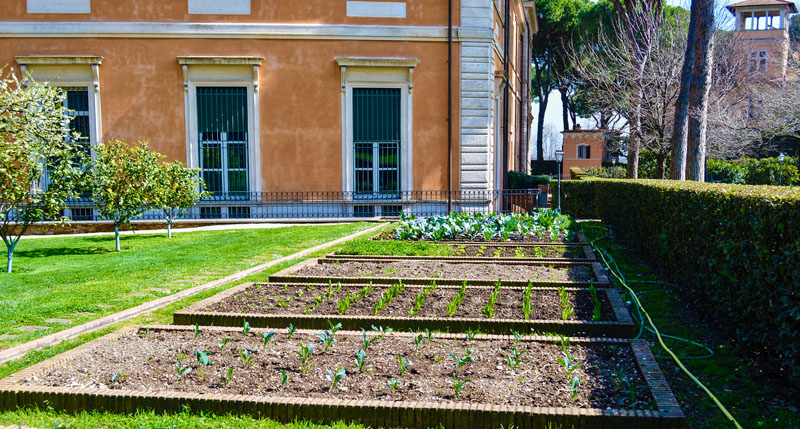 AmAcadGardens2