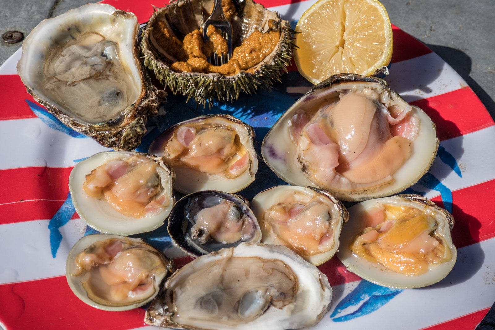 raw-shellfish-at-Randazzo’s-Bronx-Little-Italy-1600×1067