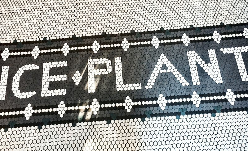 IcePlantTiles