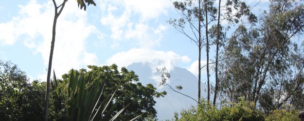 IMG_7972-625×250