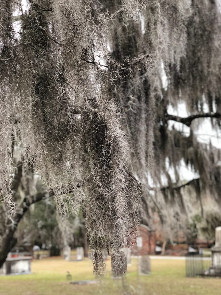 IMG_0582