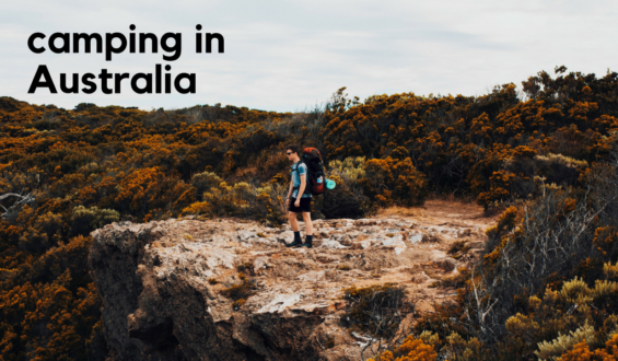 All You Need to Know About Camping in Australia