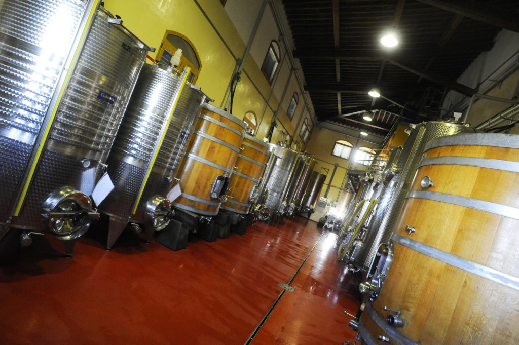 FATTORIA BETTI_The cellar