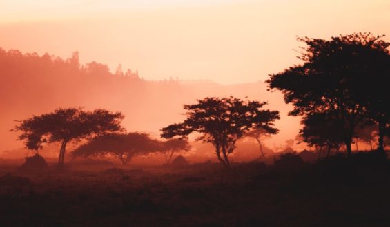 Exploring Rwanda: Natural Beauty and Culture
