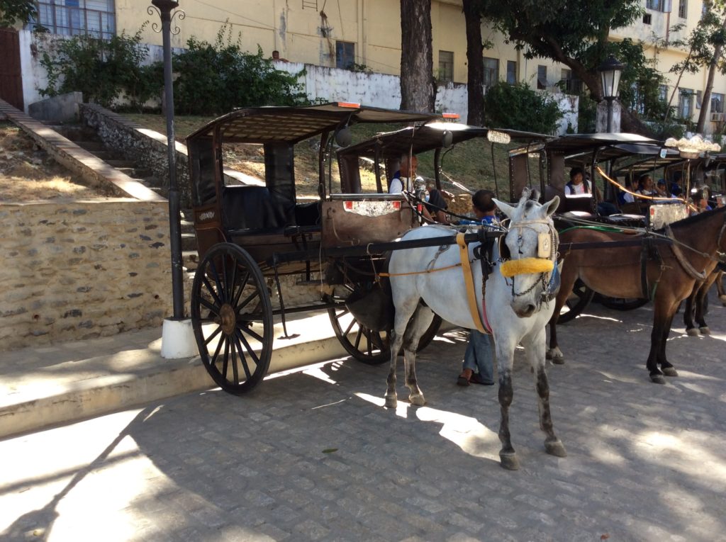 kalesa-philippines-vigan-698807