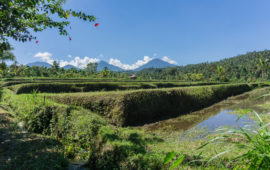 Girls’ Guide to Bali: Enjoy the Island like a Local