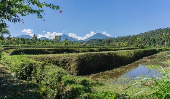 Girls’ Guide to Bali: Enjoy the Island like a Local