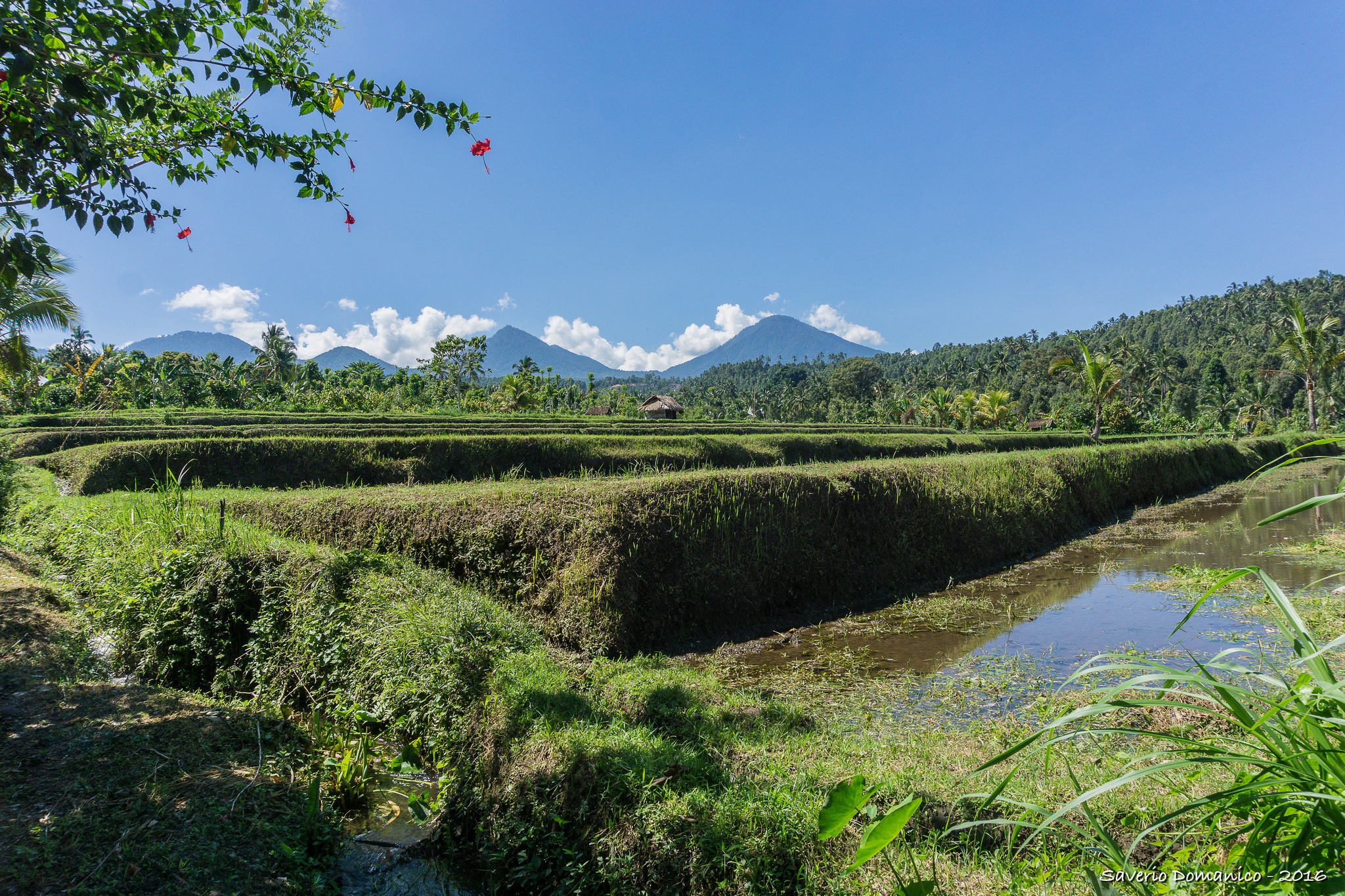 Girls’ Guide to Bali: Enjoy the Island like a Local